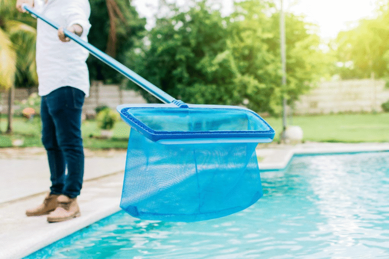 How to Identify, Treat, and Prevent Algae in Your Swimming Pool
