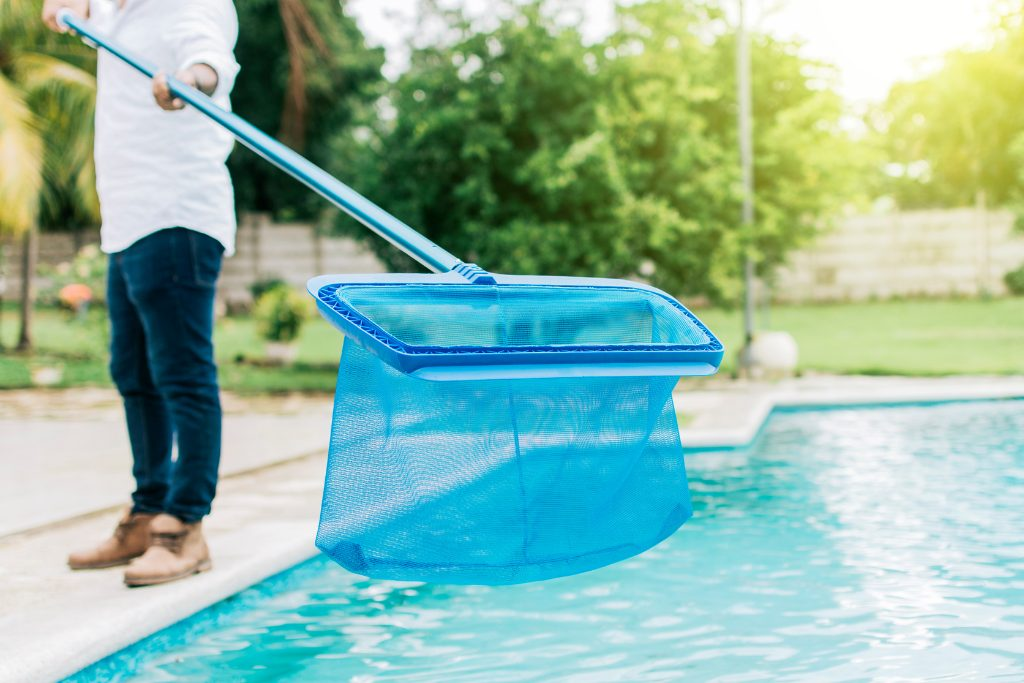 How to Identify, Treat, and Prevent Algae in Your Swimming Pool